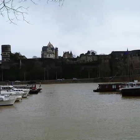 La Bergerie Centre 公寓 昂热