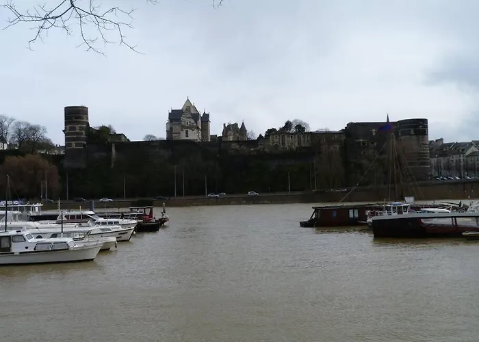 La Bergerie Centre 公寓 昂热